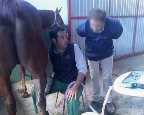 18-eco-seguimiento