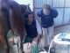 18-eco-seguimiento