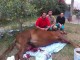 cc_08