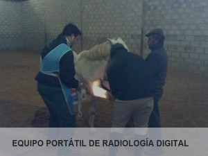 radio01