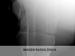 radio05