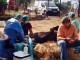 castracion_03