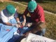 castracion_07