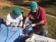castracion_08