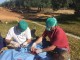 castracion_09
