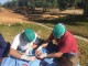 castracion_14